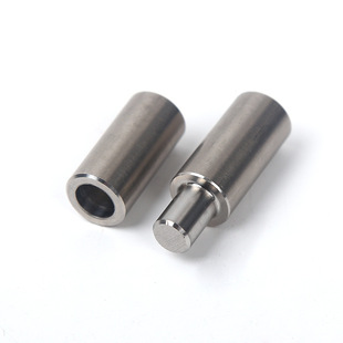 Porta Pivot Hinge